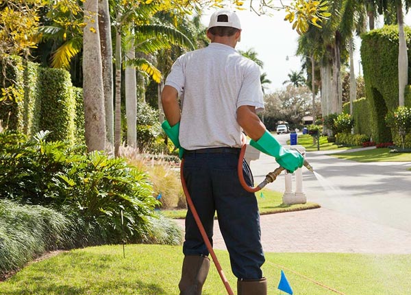 About Maiden NC Pest Control Pros